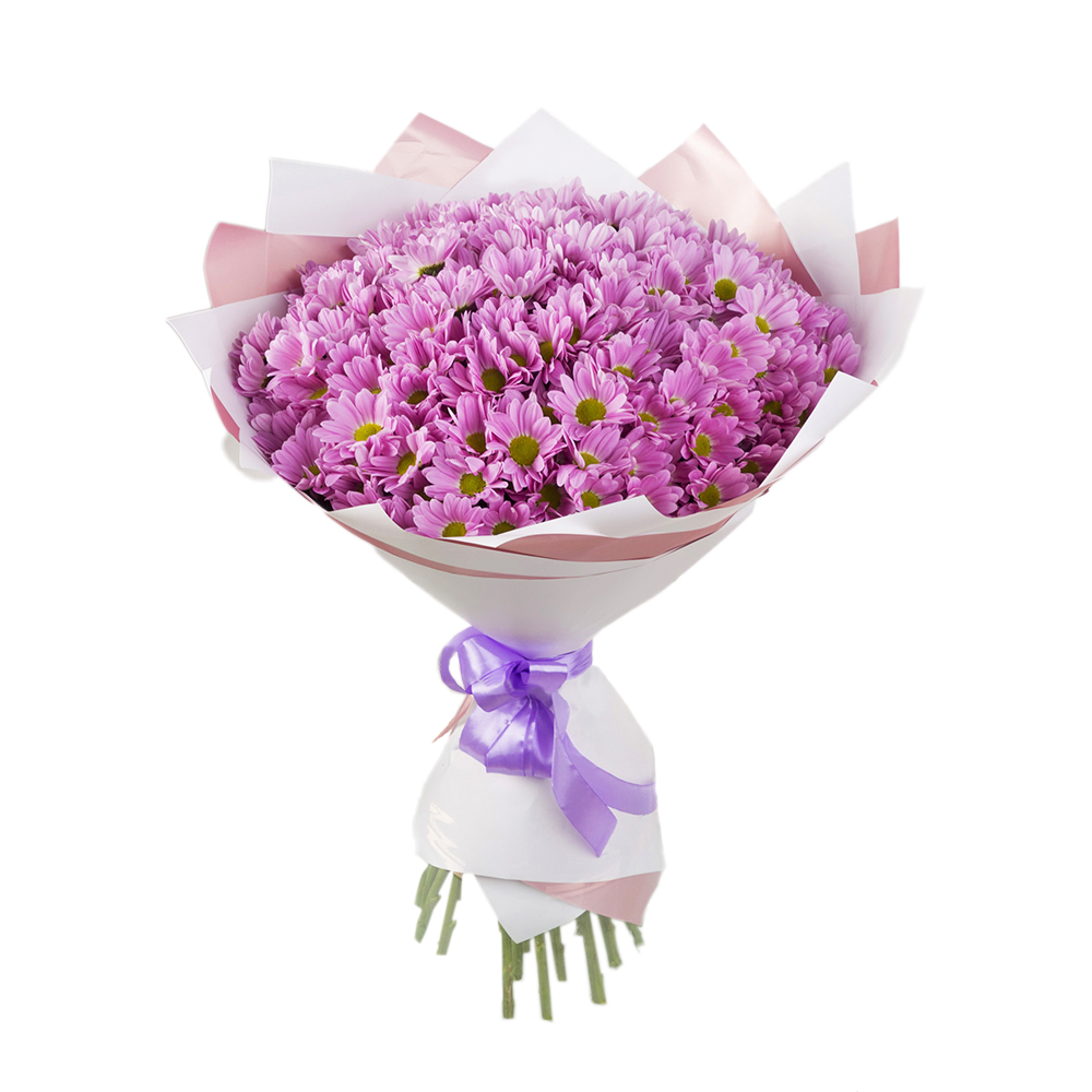 Букет из 25 сиреневых хризантем