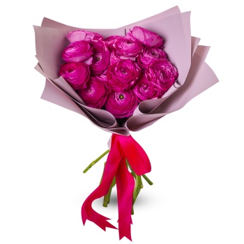 Букет из 15 малиновых ранункулюсов