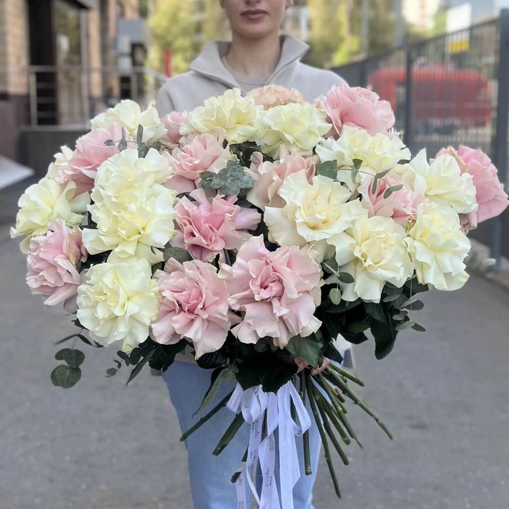 Французская розовая и белая роза 25 шт.
