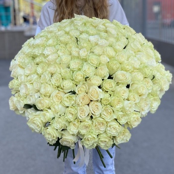 Букет из 151 белой розы premium 60 см