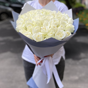 51 белая роза Premium 50 см.