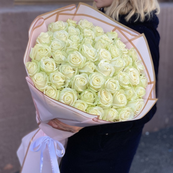 51 белая роза Premium 70 см.