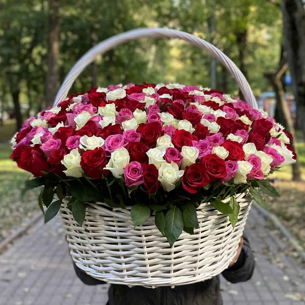 301 роза яркий Микс в корзине