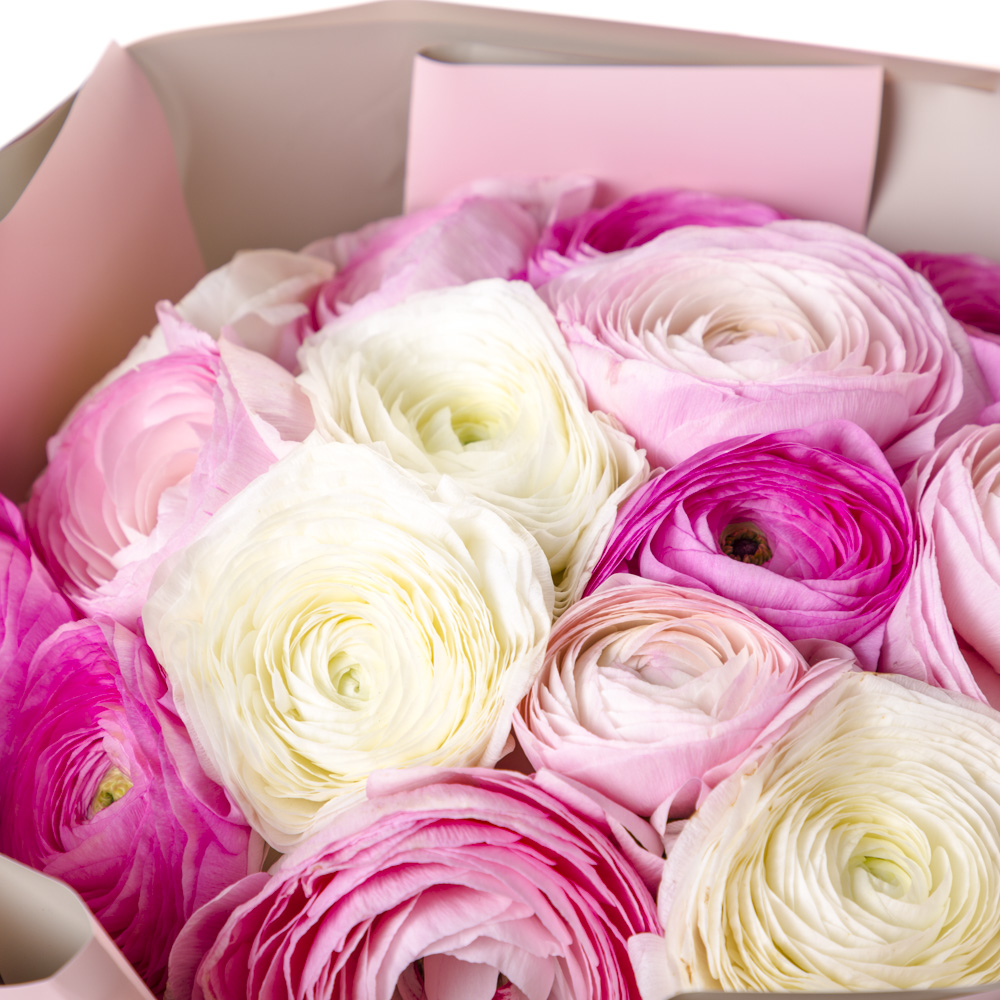 Букет из 15 разноцветных ранункулюсов