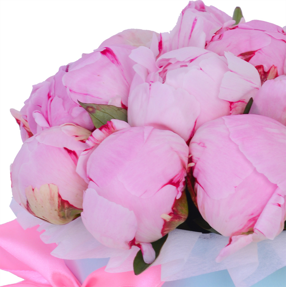 Букет из 15 розовых пионов в голубой шляпной коробке