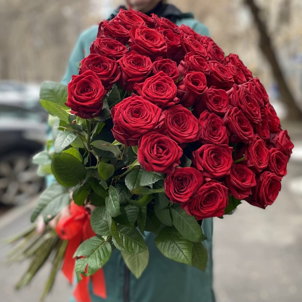 51 красная роза Premium 70 см.
