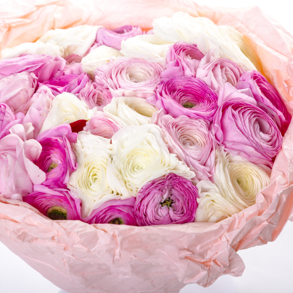 Букет из 35 разноцветных ранункулюсов